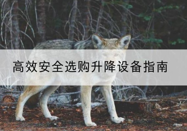 广阳升降货梯厂家推荐-*安全选购升降设备指南