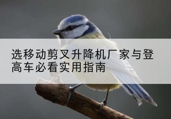 广阳电动升降机厂家-选移动剪叉升降机厂家与登高车必看实用指南