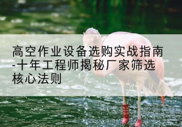 广阳剪叉式升降机厂家-高空作业设备选购实战指南-十年工程师揭秘厂家筛选核心法则